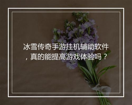 冰雪传奇手游挂机辅助软件，真的能提高游戏体验吗？