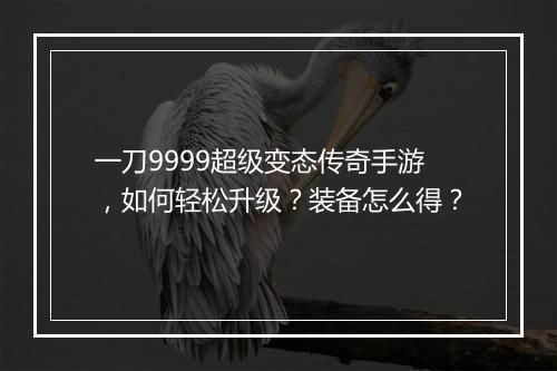 一刀9999超级变态传奇手游，如何轻松升级？装备怎么得？