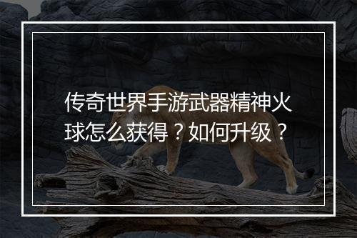 传奇世界手游武器精神火球怎么获得？如何升级？