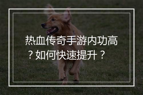 热血传奇手游内功高？如何快速提升？