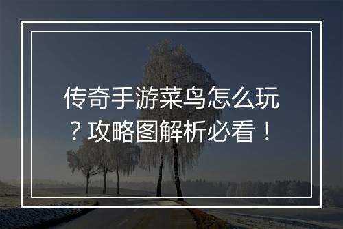 传奇手游菜鸟怎么玩？攻略图解析必看！