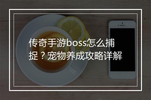 传奇手游boss怎么捕捉？宠物养成攻略详解