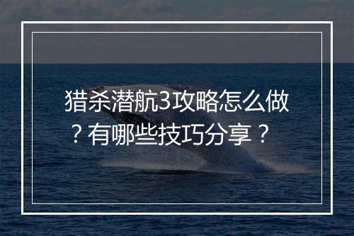 猎杀潜航3攻略怎么做？有哪些技巧分享？