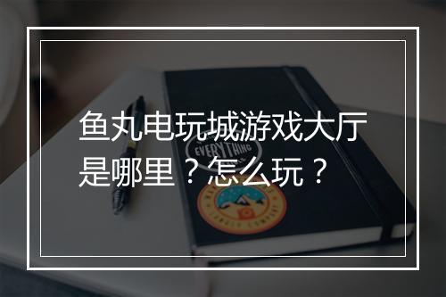 鱼丸电玩城游戏大厅是哪里？怎么玩？