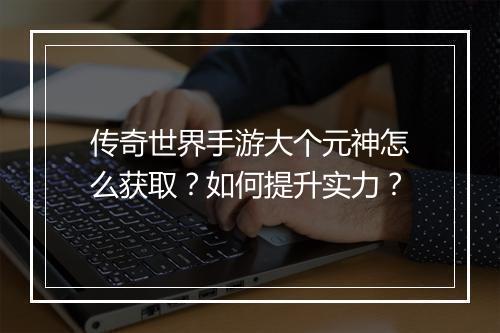 传奇世界手游大个元神怎么获取？如何提升实力？