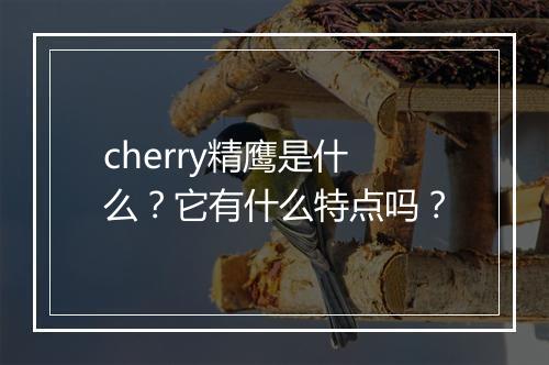 cherry精鹰是什么？它有什么特点吗？