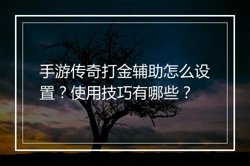 手游传奇打金辅助怎么设置？使用技巧有哪些？