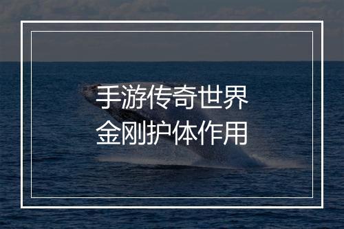 手游传奇世界金刚护体作用
