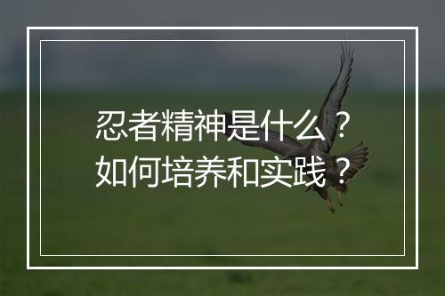 忍者精神是什么？如何培养和实践？