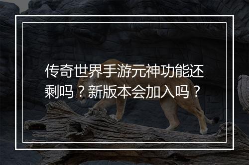 传奇世界手游元神功能还剩吗？新版本会加入吗？