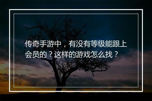 传奇手游中，有没有等级能跟上会员的？这样的游戏怎么找？