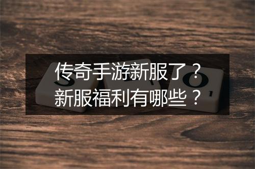 传奇手游新服了？新服福利有哪些？