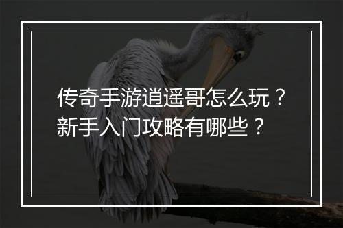 传奇手游逍遥哥怎么玩？新手入门攻略有哪些？