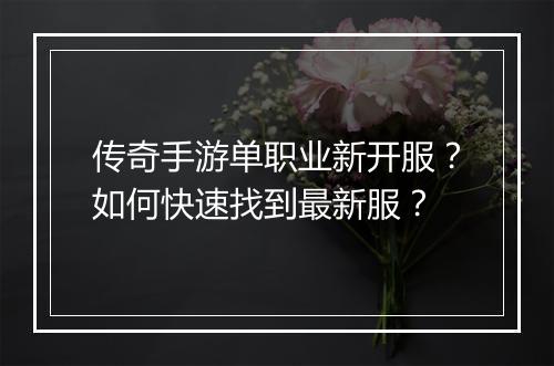 传奇手游单职业新开服？如何快速找到最新服？