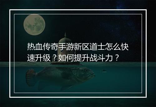 热血传奇手游新区道士怎么快速升级？如何提升战斗力？