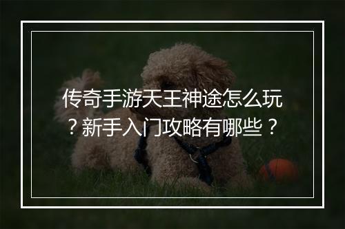 传奇手游天王神途怎么玩？新手入门攻略有哪些？