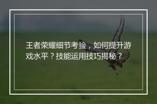 王者荣耀细节考验，如何提升游戏水平？技能运用技巧揭秘？