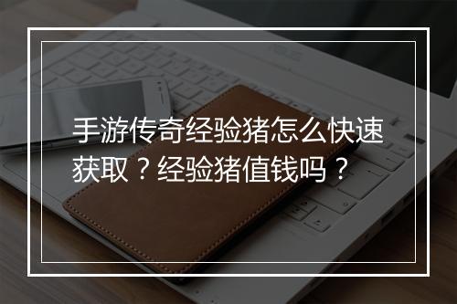 手游传奇经验猪怎么快速获取？经验猪值钱吗？