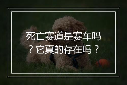死亡赛道是赛车吗？它真的存在吗？
