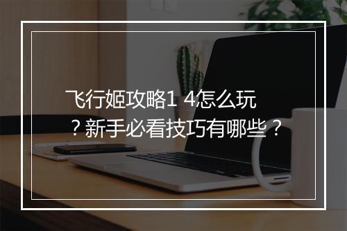 飞行姬攻略1 4怎么玩？新手必看技巧有哪些？