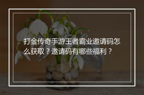 打金传奇手游王者霸业邀请码怎么获取？邀请码有哪些福利？