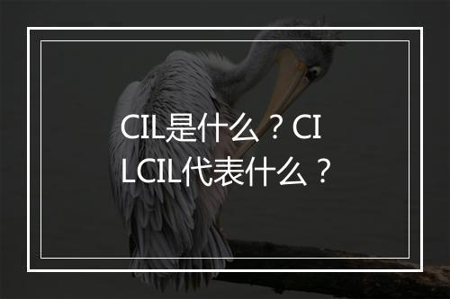 CIL是什么？CILCIL代表什么？