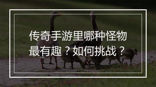 传奇手游里哪种怪物最有趣？如何挑战？