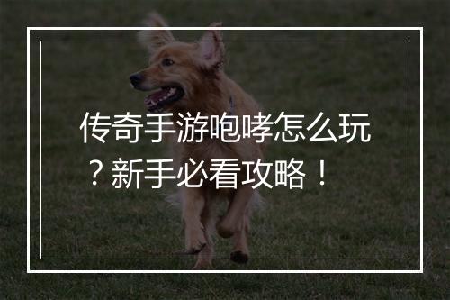 传奇手游咆哮怎么玩？新手必看攻略！