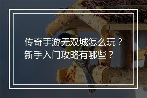 传奇手游无双城怎么玩？新手入门攻略有哪些？