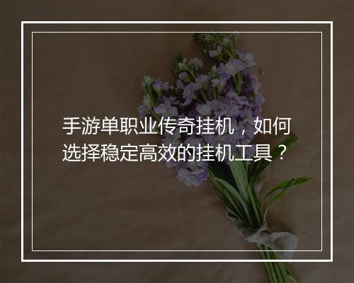 手游单职业传奇挂机，如何选择稳定高效的挂机工具？