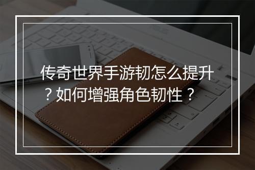 传奇世界手游韧怎么提升？如何增强角色韧性？