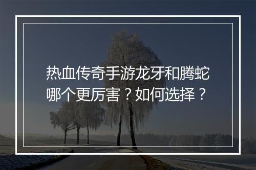 热血传奇手游龙牙和腾蛇哪个更厉害？如何选择？