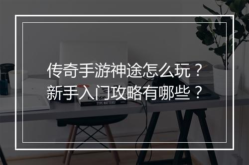 传奇手游神途怎么玩？新手入门攻略有哪些？