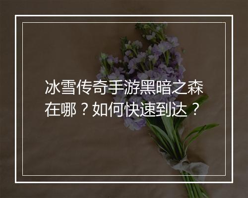 冰雪传奇手游黑暗之森在哪？如何快速到达？