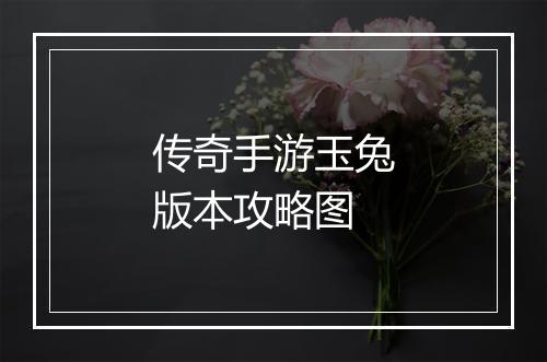 传奇手游玉兔版本攻略图