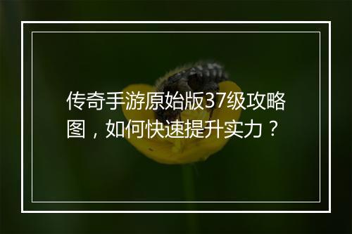 传奇手游原始版37级攻略图，如何快速提升实力？