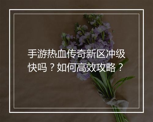 手游热血传奇新区冲级快吗？如何高效攻略？