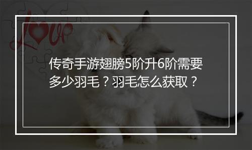 传奇手游翅膀5阶升6阶需要多少羽毛？羽毛怎么获取？