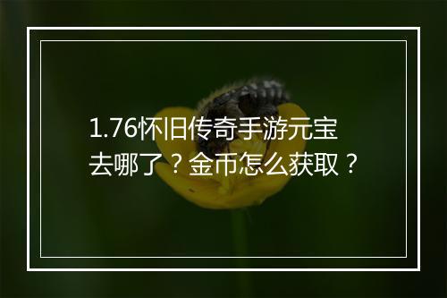 1.76怀旧传奇手游元宝去哪了？金币怎么获取？