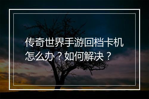 传奇世界手游回档卡机怎么办？如何解决？
