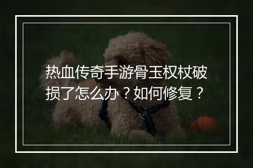 热血传奇手游骨玉权杖破损了怎么办？如何修复？