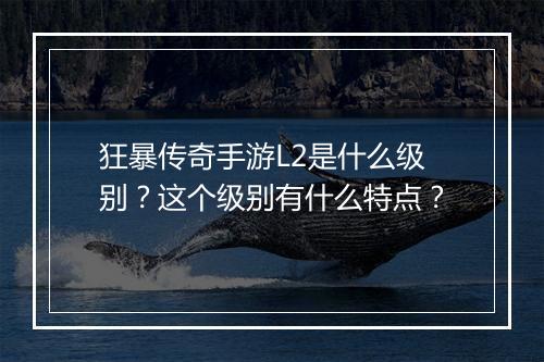 狂暴传奇手游L2是什么级别？这个级别有什么特点？