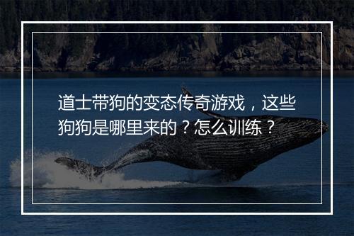 道士带狗的变态传奇游戏，这些狗狗是哪里来的？怎么训练？