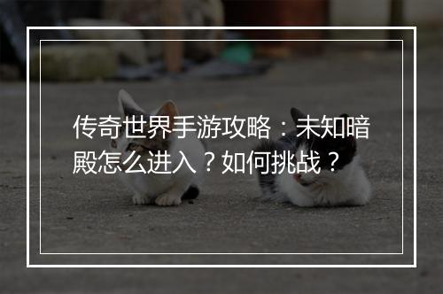 传奇世界手游攻略：未知暗殿怎么进入？如何挑战？