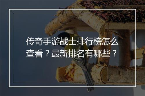 传奇手游战士排行榜怎么查看？最新排名有哪些？