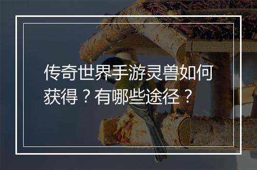 传奇世界手游灵兽如何获得？有哪些途径？