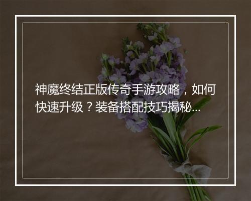 神魔终结正版传奇手游攻略，如何快速升级？装备搭配技巧揭秘？