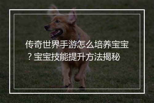 传奇世界手游怎么培养宝宝？宝宝技能提升方法揭秘