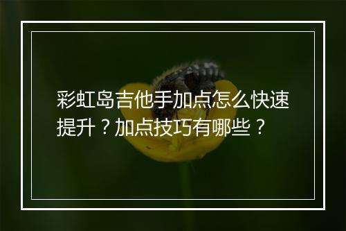 彩虹岛吉他手加点怎么快速提升？加点技巧有哪些？