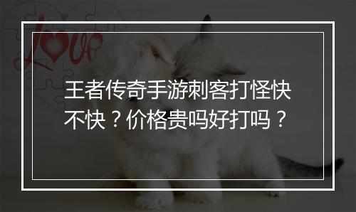 王者传奇手游刺客打怪快不快？价格贵吗好打吗？